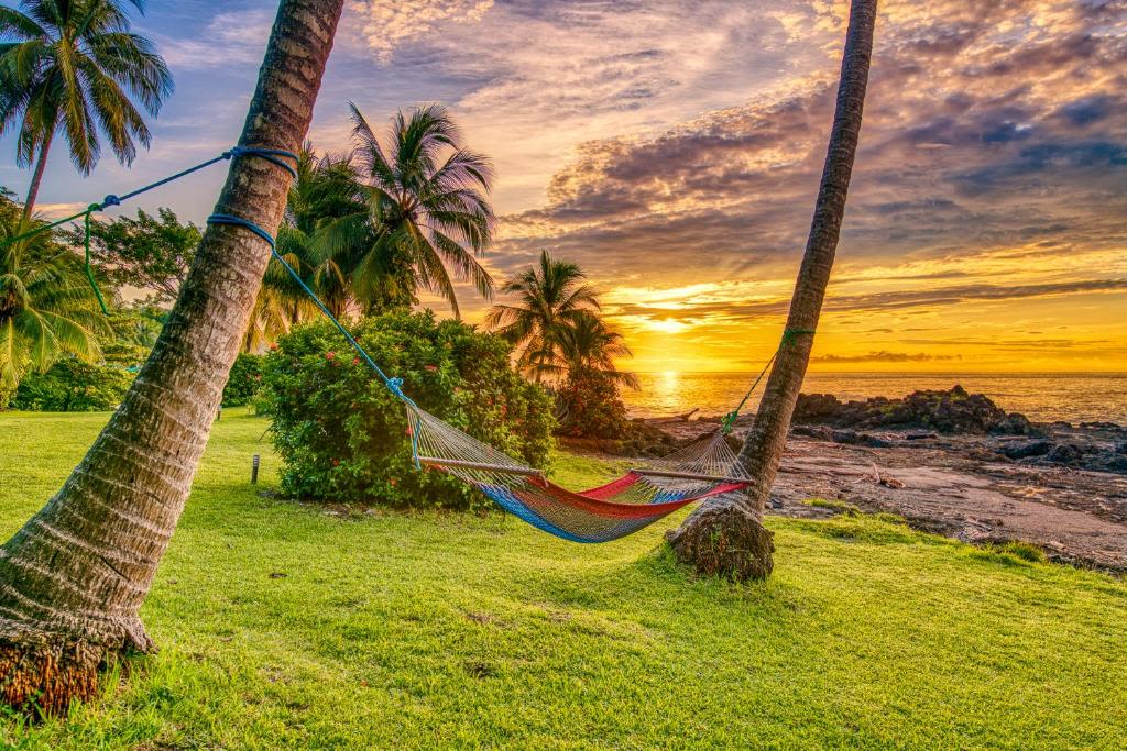 hammock hanging between trees by the ocean during sunset